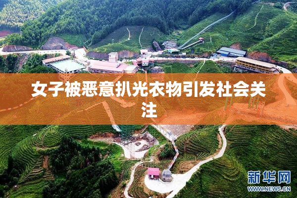 女子被恶意扒光衣物引发社会关注