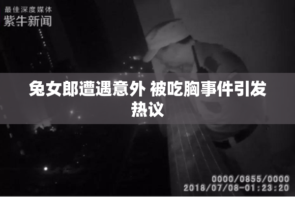 兔女郎遭遇意外 被吃胸事件引发热议
