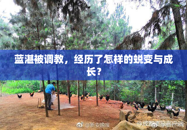 蓝湛被调教，经历了怎样的蜕变与成长？