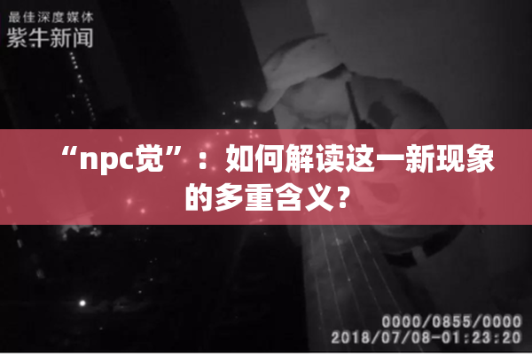 “npc觉”：如何解读这一新现象的多重含义？