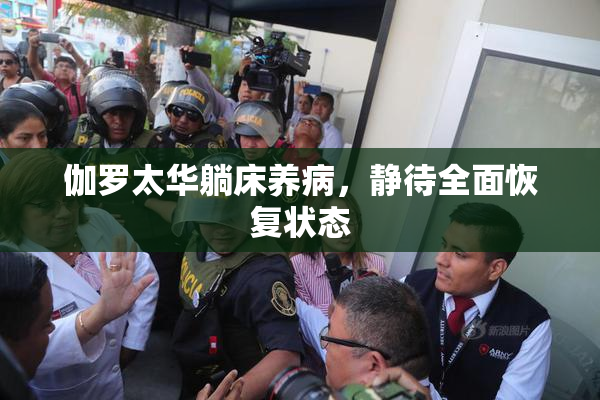 伽罗太华躺床养病，静待全面恢复状态
