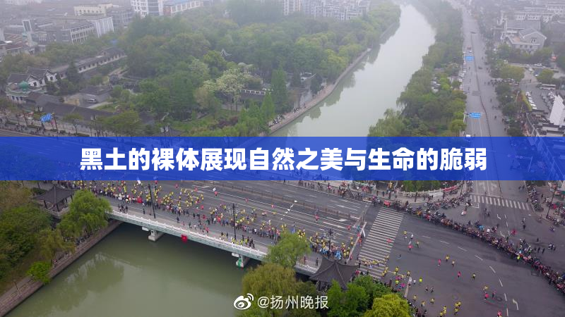 黑土的裸体展现自然之美与生命的脆弱