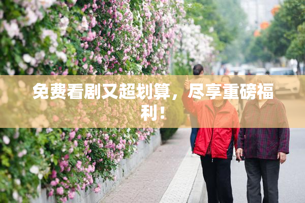免费看剧又超划算，尽享重磅福利！