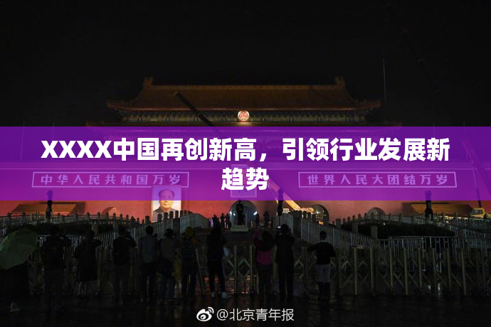 XXXX中国再创新高，引领行业发展新趋势