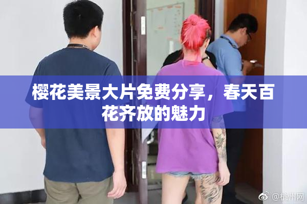 樱花美景大片免费分享，春天百花齐放的魅力
