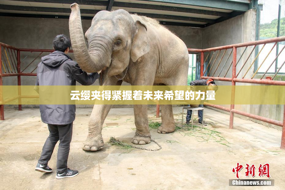 云缨夹得紧握着未来希望的力量