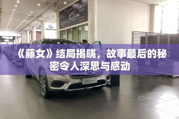 《藤女》结局揭晓，故事最后的秘密令人深思与感动