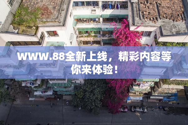 WWW.88全新上线，精彩内容等你来体验！