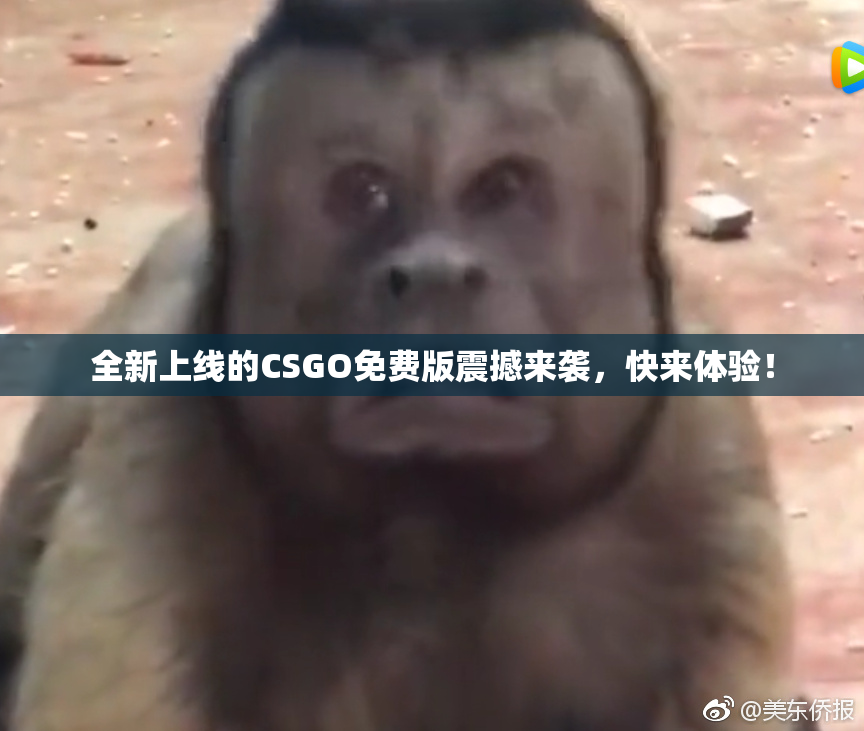全新上线的CSGO免费版震撼来袭，快来体验！
