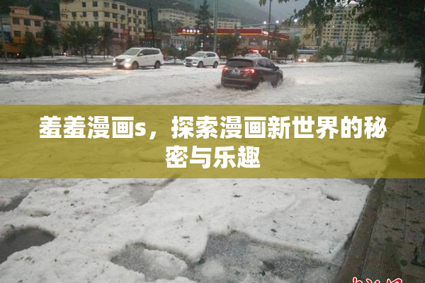 羞羞漫画s，探索漫画新世界的秘密与乐趣
