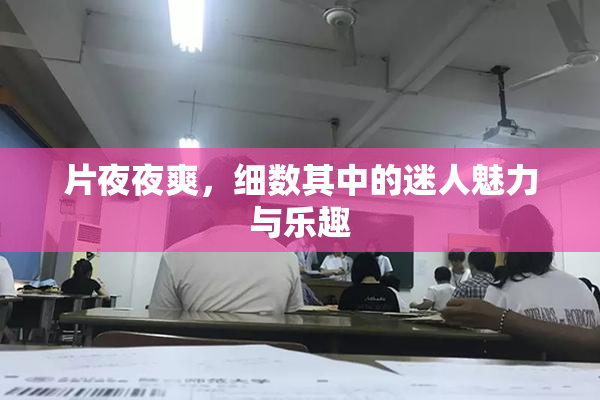 片夜夜爽，细数其中的迷人魅力与乐趣