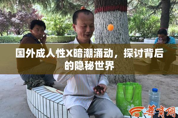 国外成人性X暗潮涌动，探讨背后的隐秘世界