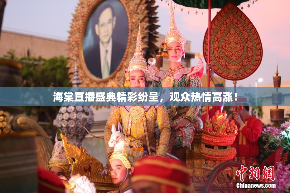 海棠直播盛典精彩纷呈，观众热情高涨！