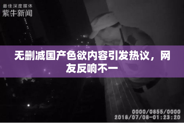 无删减国产色欲内容引发热议，网友反响不一