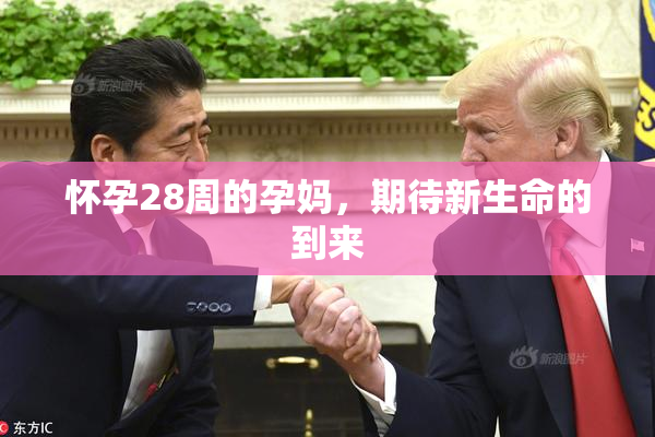 怀孕28周的孕妈，期待新生命的到来