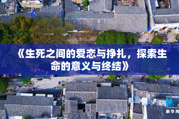 《生死之间的爱恋与挣扎，探索生命的意义与终结》