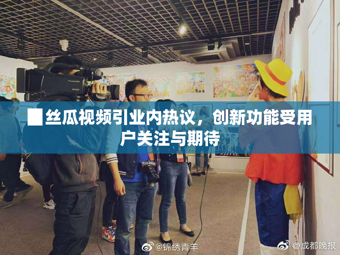 ▉丝瓜视频引业内热议，创新功能受用户关注与期待