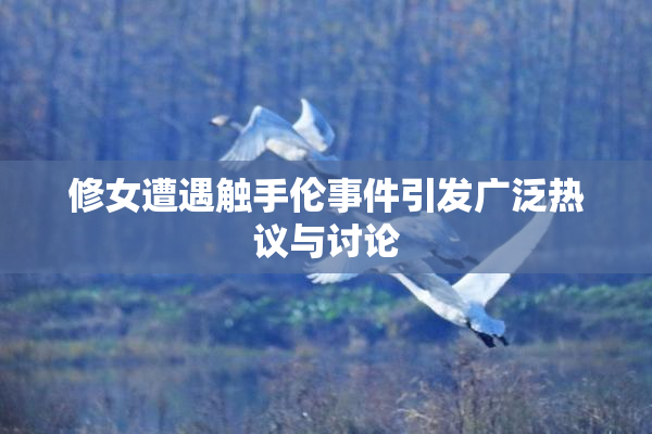 修女遭遇触手伦事件引发广泛热议与讨论