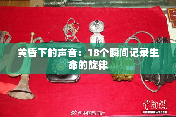 黄昏下的声音：18个瞬间记录生命的旋律
