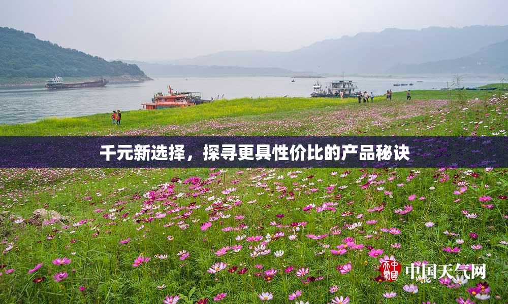 千元新选择，探寻更具性价比的产品秘诀