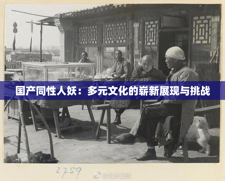 国产同性人妖：多元文化的崭新展现与挑战