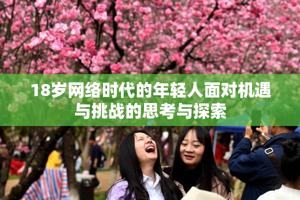 18岁网络时代的年轻人面对机遇与挑战的思考与探索