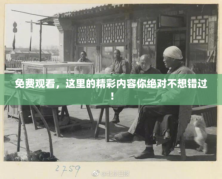 免费观看，这里的精彩内容你绝对不想错过！