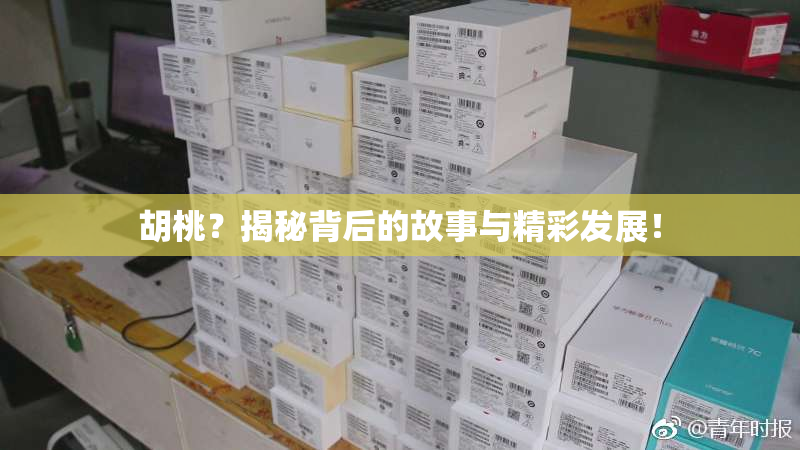 胡桃？揭秘背后的故事与精彩发展！