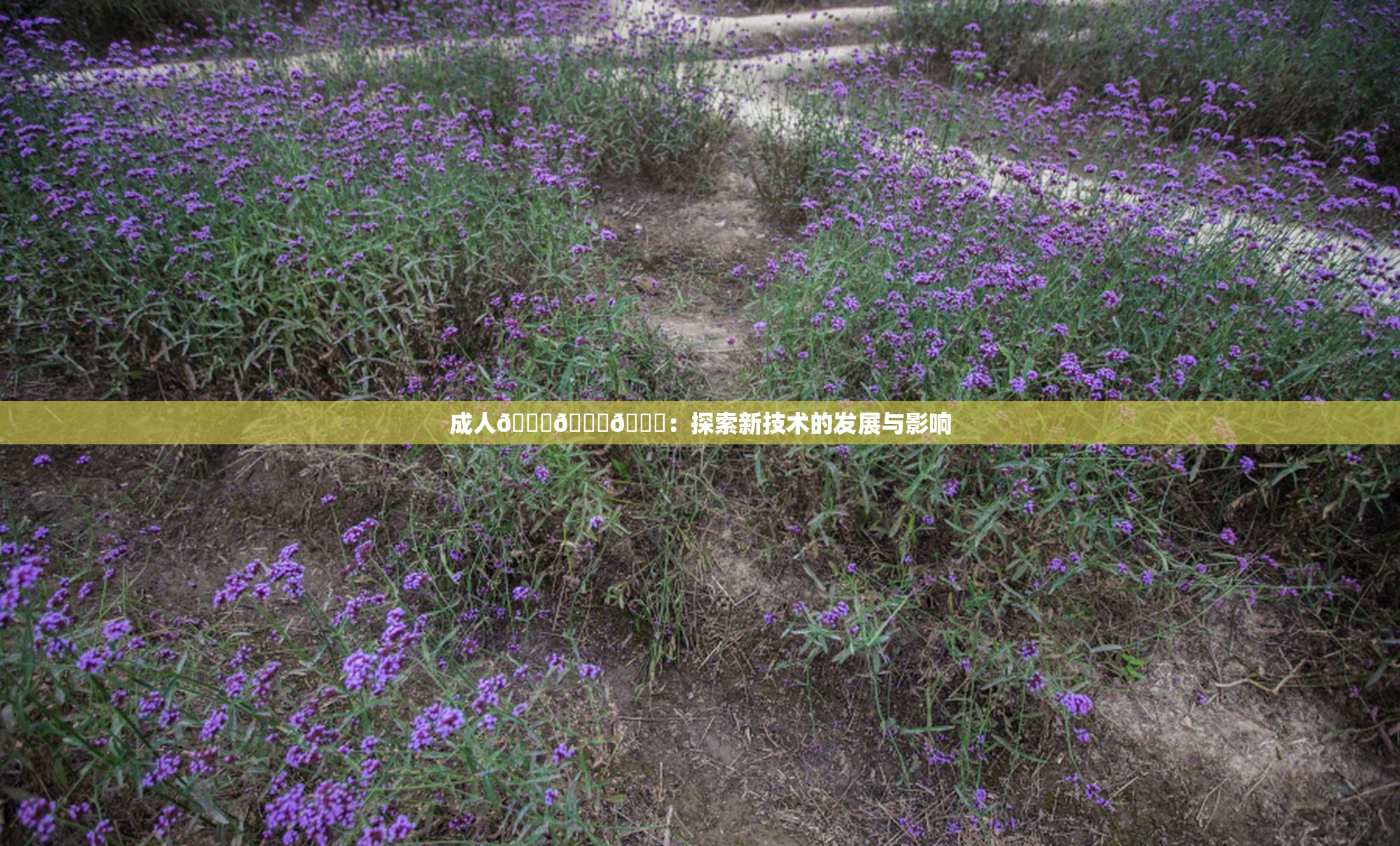 成人🍆🍑🔞：探索新技术的发展与影响