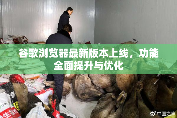 谷歌浏览器最新版本上线，功能全面提升与优化