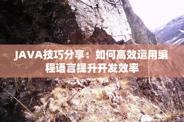 JAVA技巧分享：如何高效运用编程语言提升开发效率