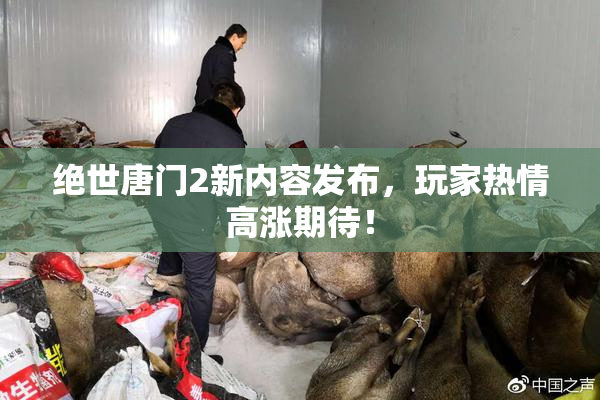 绝世唐门2新内容发布，玩家热情高涨期待！