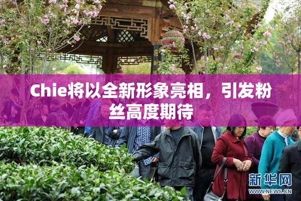 Chie将以全新形象亮相，引发粉丝高度期待