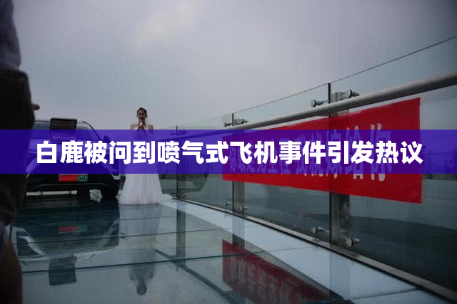 白鹿被问到喷气式飞机事件引发热议