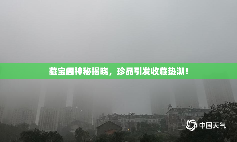 藏宝阁神秘揭晓，珍品引发收藏热潮！