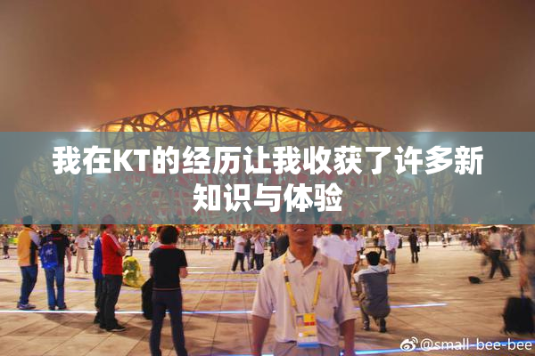 我在KT的经历让我收获了许多新知识与体验