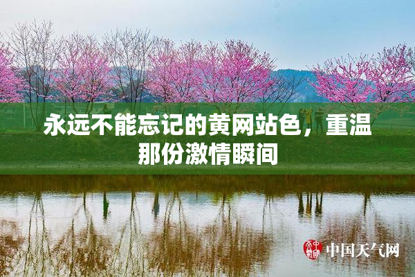 永远不能忘记的黄网站色，重温那份激情瞬间