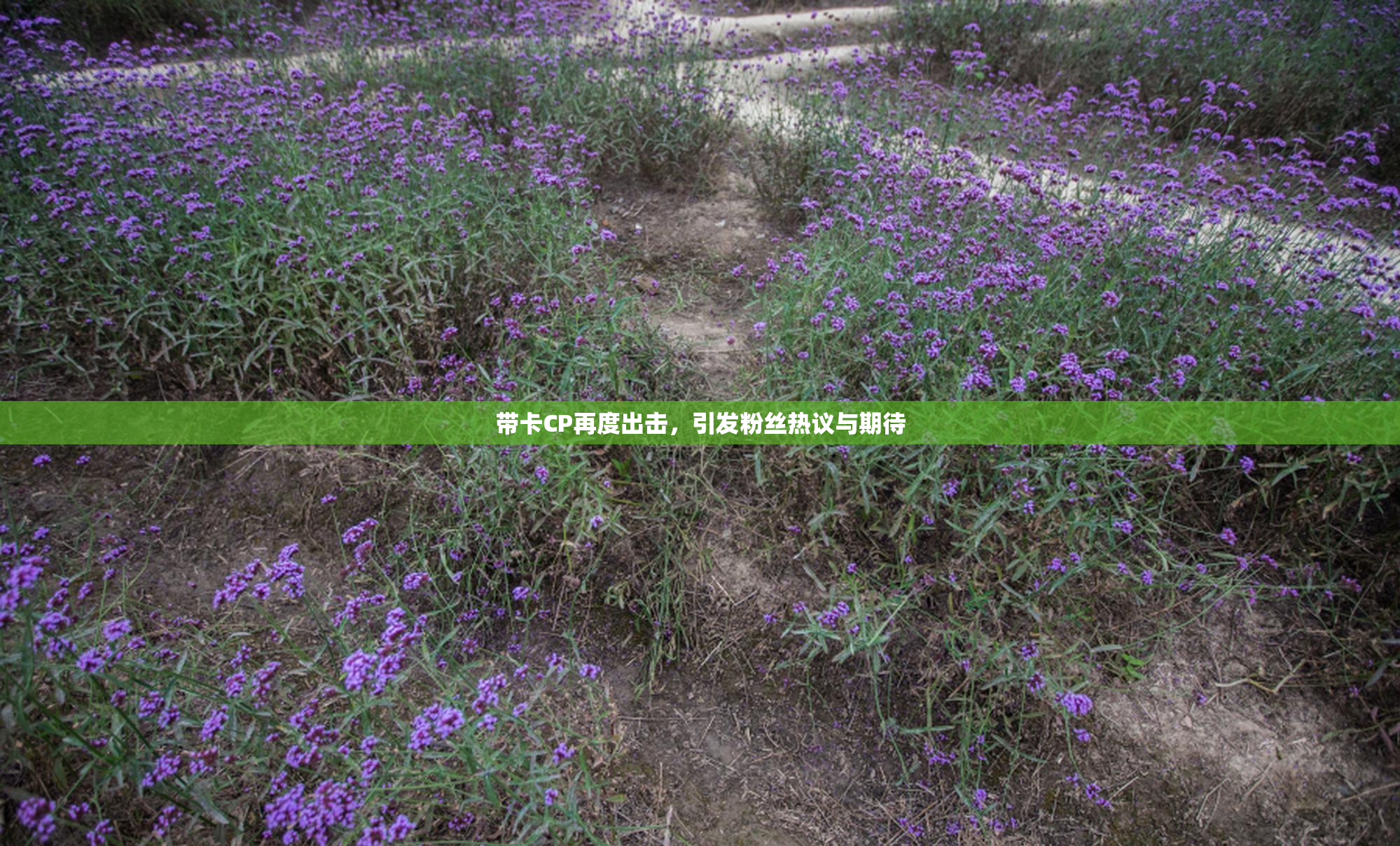 带卡CP再度出击，引发粉丝热议与期待