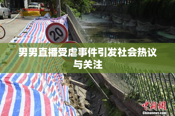 男男直播受虐事件引发社会热议与关注