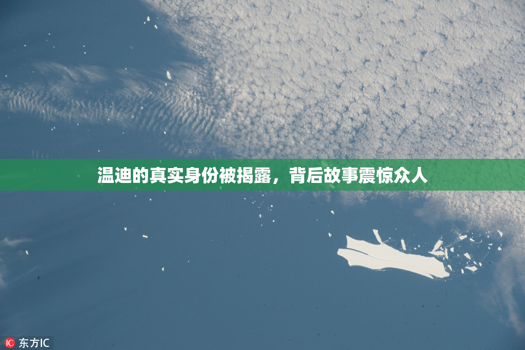 温迪的真实身份被揭露，背后故事震惊众人