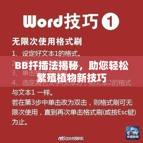 BB扦插法揭秘，助您轻松繁殖植物新技巧