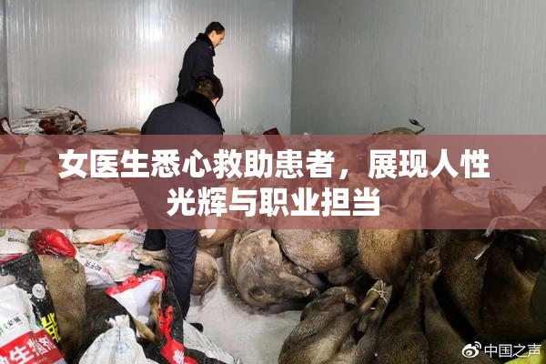 女医生悉心救助患者，展现人性光辉与职业担当