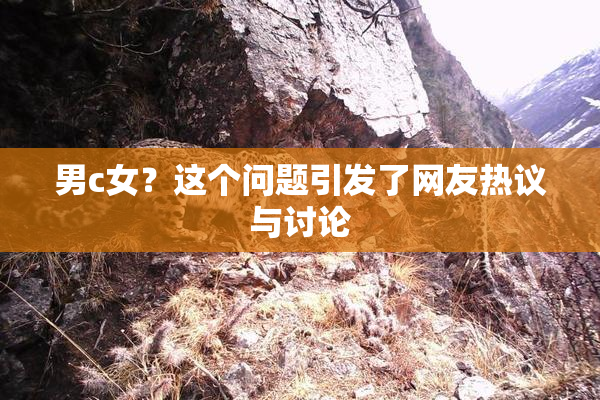 男c女？这个问题引发了网友热议与讨论