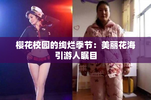 樱花校园的绚烂季节：美丽花海引游人瞩目