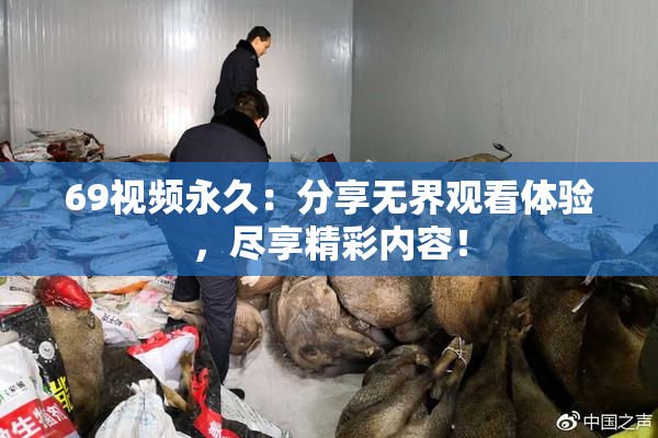 69视频永久：分享无界观看体验，尽享精彩内容！