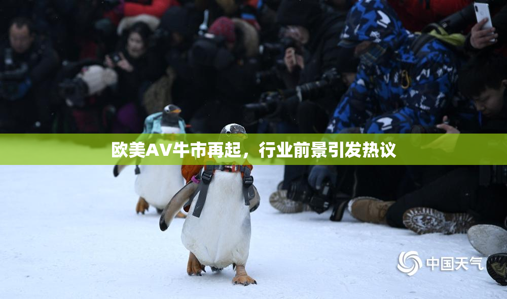 欧美AV牛市再起，行业前景引发热议