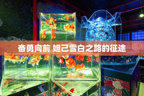 奋勇向前 妲己雪白之路的征途