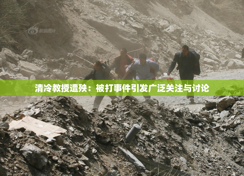 清冷教授遭殃：被打事件引发广泛关注与讨论