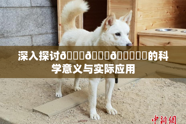 深入探讨🍆🍑🔞❌‌的科学意义与实际应用