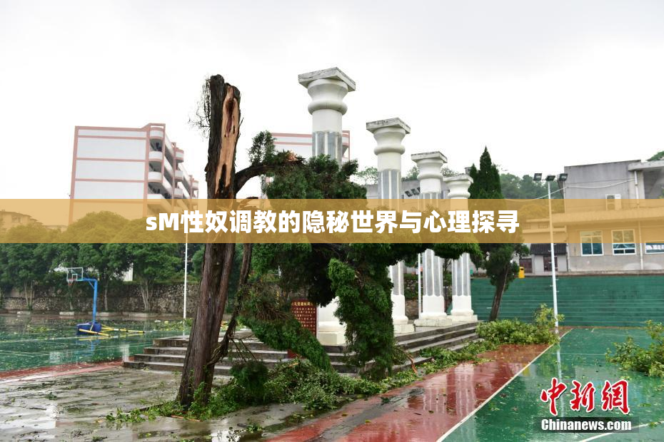sM性奴调教的隐秘世界与心理探寻